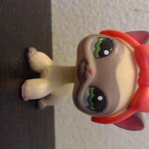 Lps rare shorthair